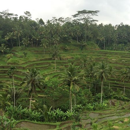 Pangkung House Appartement Ubud Buitenkant foto