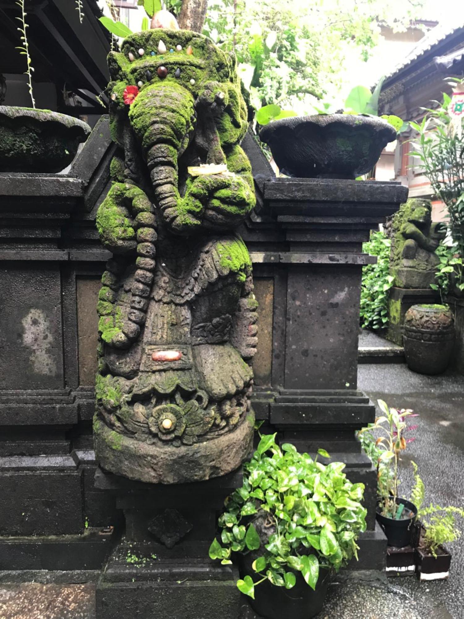 Pangkung House Appartement Ubud Buitenkant foto