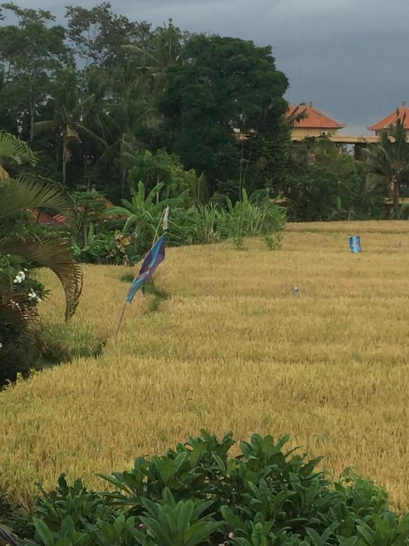 Pangkung House Appartement Ubud Buitenkant foto